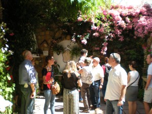 Visita por Los Patios cordobeses durante el mes de mayo